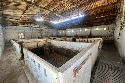Finca i Motril, Granada, Motril - € 159.000 | Ref: L428 - foto 2