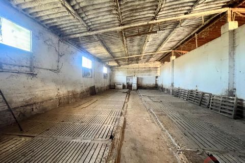 Finca i Motril, Granada, Motril - € 159.000 | Ref: L428 - foto 4