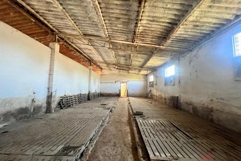 Finca i Motril, Granada, Motril - € 159.000 | Ref: L428 - foto 5