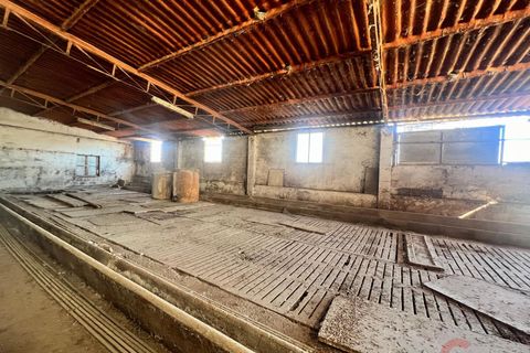 Finca i Motril, Granada, Motril - € 159.000 | Ref: L428 - foto 6
