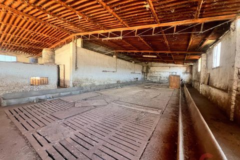 Finca i Motril, Granada, Motril - € 159.000 | Ref: L428 - foto 7
