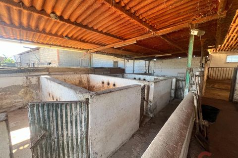 Finca i Motril, Granada, Motril - € 159.000 | Ref: L428 - foto 8