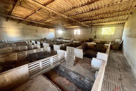 Finca i Motril, Granada, Motril - € 159.000 | Ref: L428 - foto 11
