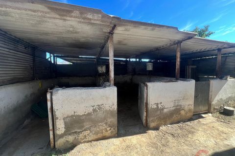 Finca i Motril, Granada, Motril - € 159.000 | Ref: L428 - foto 12