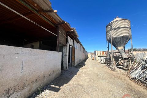 Finca i Motril, Granada, Motril - € 159.000 | Ref: L428 - foto 13