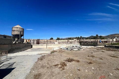 Finca i Motril, Granada, Motril - € 159.000 | Ref: L428 - foto 14