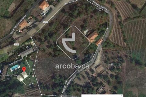Farm i Ponte de Lima, Viana do Castelo, Ponte de Lima - € 450.000 | Ref: AV5612 - foto 18