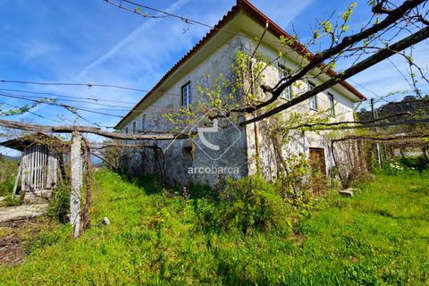 Farm i Ponte de Lima, Viana do Castelo, Ponte de Lima - € 450.000 | Ref: AV5612 - foto 19