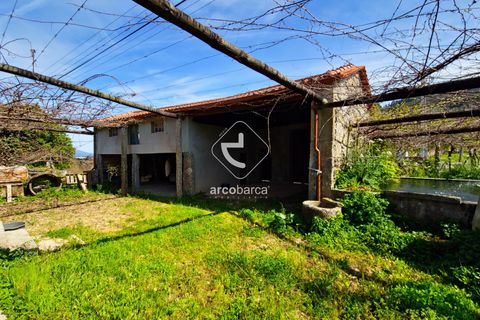 Farm i Ponte de Lima, Viana do Castelo, Ponte de Lima - € 450.000 | Ref: AV5612 - foto 22