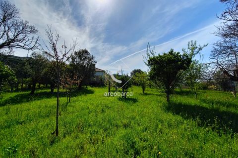 Farm i Ponte de Lima, Viana do Castelo, Ponte de Lima - € 450.000 | Ref: AV5612 - foto 26