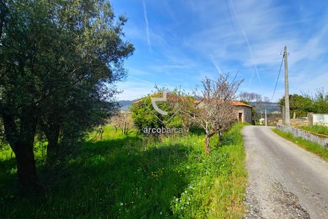 Farm i Ponte de Lima, Viana do Castelo, Ponte de Lima - € 450.000 | Ref: AV5612 - foto 27