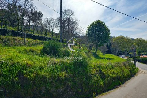 Farm i Ponte de Lima, Viana do Castelo, Ponte de Lima - € 450.000 | Ref: AV5612 - foto 30