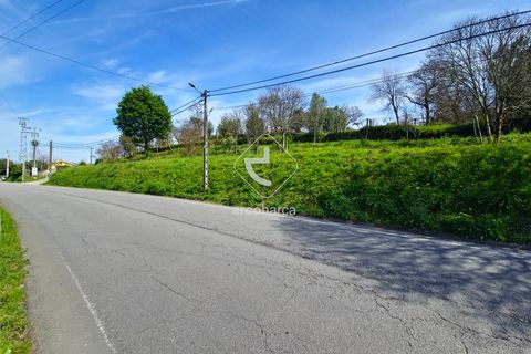 Farm i Ponte de Lima, Viana do Castelo, Ponte de Lima - € 450.000 | Ref: AV5612 - foto 31