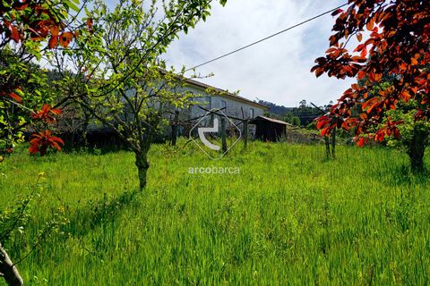 Farm i Ponte de Lima, Viana do Castelo, Ponte de Lima - € 450.000 | Ref: AV5612 - foto 32