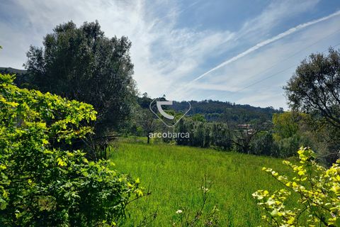 Farm i Ponte de Lima, Viana do Castelo, Ponte de Lima - € 450.000 | Ref: AV5612 - foto 33