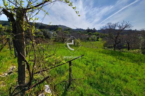 Farm i Ponte de Lima, Viana do Castelo, Ponte de Lima - € 450.000 | Ref: AV5612 - foto 34