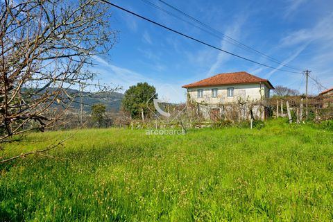 Farm i Ponte de Lima, Viana do Castelo, Ponte de Lima - € 450.000 | Ref: AV5612 - foto 16