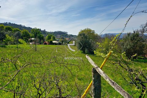 Farm i Ponte de Lima, Viana do Castelo, Ponte de Lima - € 450.000 | Ref: AV5612 - foto 35
