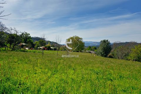 Farm i Ponte de Lima, Viana do Castelo, Ponte de Lima - € 450.000 | Ref: AV5612 - foto 36