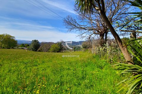Farm i Ponte de Lima, Viana do Castelo, Ponte de Lima - € 450.000 | Ref: AV5612 - foto 37