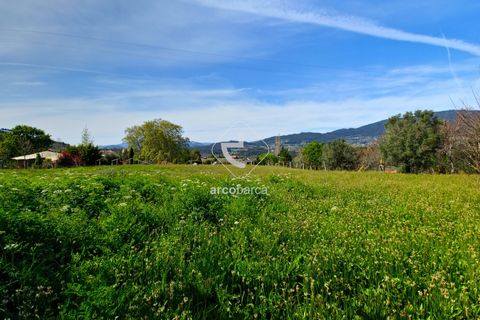 Farm i Ponte de Lima, Viana do Castelo, Ponte de Lima - € 450.000 | Ref: AV5612 - foto 40