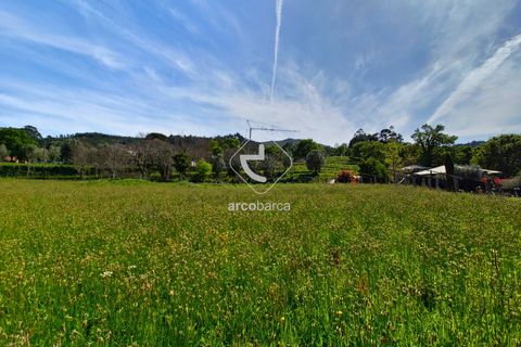 Farm i Ponte de Lima, Viana do Castelo, Ponte de Lima - € 450.000 | Ref: AV5612 - foto 41