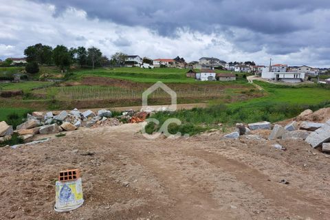 Helårsgrund i Lousada, Porto, Lousada - € 150.000 | Ref: 365/T/02499 - foto 5