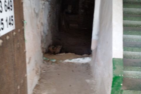 Leilighet i Capileira, Granada, Capileira - € 80 000 | Ref: CPC509 - foto 3
