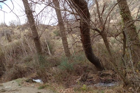 Ruïna a Capileira, Granada, Capileira - € 50.000 | Ref: CPC510 - foto 5