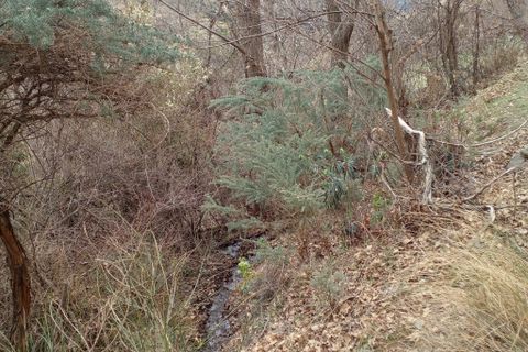 Ruïna a Capileira, Granada, Capileira - € 50.000 | Ref: CPC510 - foto 7