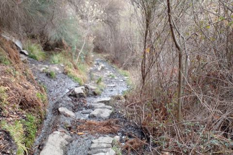 Ruïna a Capileira, Granada, Capileira - € 50.000 | Ref: CPC510 - foto 11