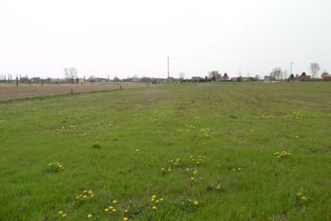 Terra a Conselve, Padua, Conselve - € 145.000 | Ref: L20 - foto 2