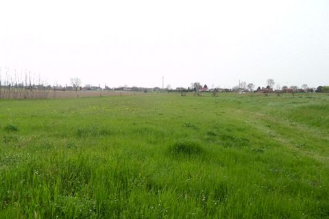 Terra a Conselve, Padua, Conselve - € 145.000 | Ref: L20 - foto 3
