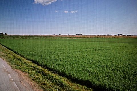 Helårsgrund i Lagosanto, Ferrara, Lagosanto - € 67.000 | Ref: VIA MANDURA - foto 5