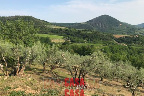 Landejendom i Cinto Euganeo, Padua, Cinto Euganeo - € 380.000 | Ref: R098 - foto 2
