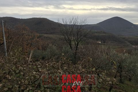 Landejendom i Cinto Euganeo, Padua, Cinto Euganeo - € 380.000 | Ref: R098 - foto 6