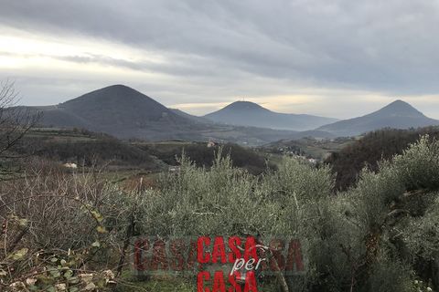 Landejendom i Cinto Euganeo, Padua, Cinto Euganeo - € 380.000 | Ref: R098 - foto 7