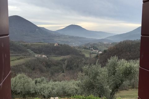 Landejendom i Cinto Euganeo, Padua, Cinto Euganeo - € 380.000 | Ref: R098 - foto 12