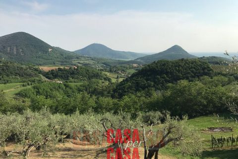 Landejendom i Cinto Euganeo, Padua, Cinto Euganeo - € 380.000 | Ref: R098 - foto 17