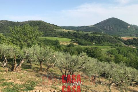 Landejendom i Cinto Euganeo, Padua, Cinto Euganeo - € 380.000 | Ref: R098 - foto 21