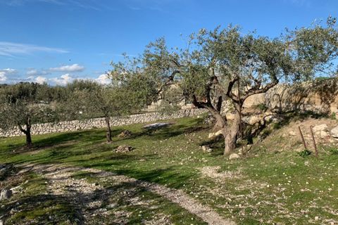 Landejendom i Modica, Ragusa, Modica - € 195.000 | Ref: L 1809 - foto 2