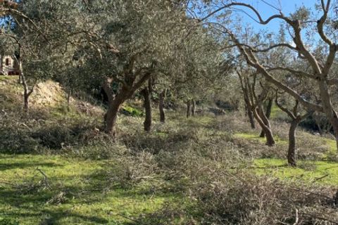Landejendom i Modica, Ragusa, Modica - € 195.000 | Ref: L 1809 - foto 4
