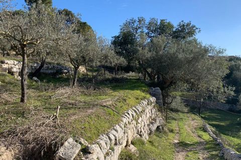 Landejendom i Modica, Ragusa, Modica - € 195.000 | Ref: L 1809 - foto 9