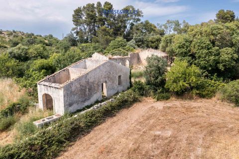 Landejendom i Noto, Siracusa, Noto - € 195.000 | Ref: 664 - foto 12