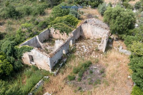 Landejendom i Noto, Siracusa, Noto - € 195.000 | Ref: 664 - foto 13