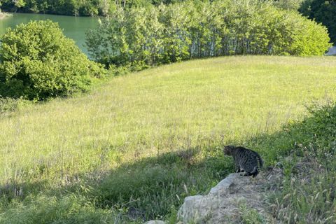 Villa a Briaglia, Cuneo, Briaglia - € 730.000 | Ref: CA1197 - foto 21