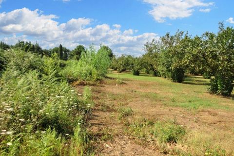 Terra a Riardo, Caserta, Riardo - € 180.000 | Ref: 19829 - foto 10