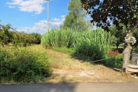 Terra a Riardo, Caserta, Riardo - € 180.000 | Ref: 19829 - foto 11