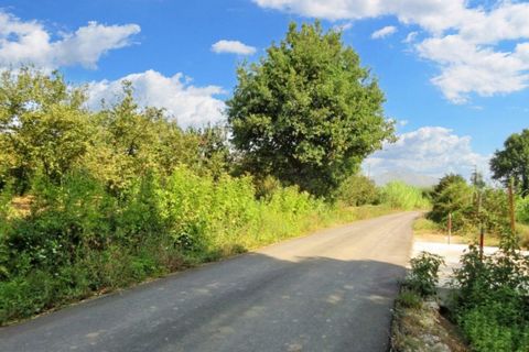 Terra a Riardo, Caserta, Riardo - € 180.000 | Ref: 19829 - foto 13