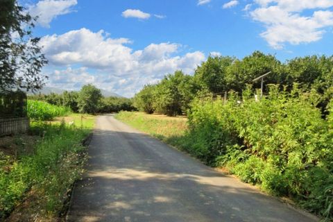 Terra a Riardo, Caserta, Riardo - € 180.000 | Ref: 19829 - foto 15
